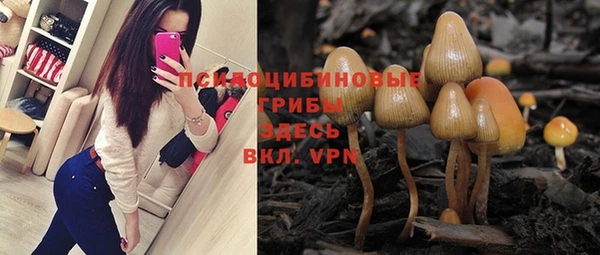 PSILOCYBIN Абинск