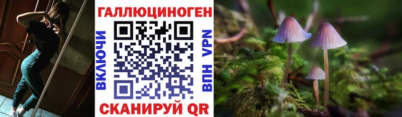 Галлюциногенные грибы мицелий  даркнет сайт  Кириллов 